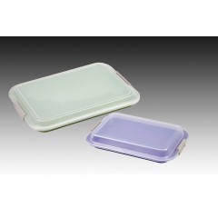 Plasdent FLAT TRAY SIZE F (Mini)- Lockable- Dimensions: 9⅝" x 6⅝" x ⅞" - BLUE